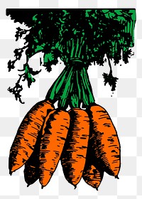 Carrot png sticker illustration, transparent background. Free public domain CC0 image.