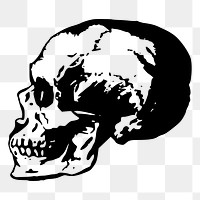 Side skull png sticker illustration, transparent background. Free public domain CC0 image.