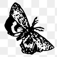 Butterfly png sticker illustration, transparent background. Free public domain CC0 image.