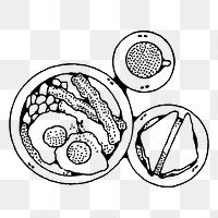 Breakfast png sticker illustration, transparent background. Free public domain CC0 image.