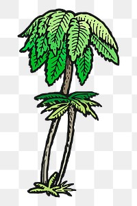 Tree fern png sticker, vintage illustration, transparent background. 