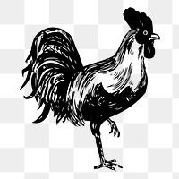 Chicken png sticker illustration, transparent background. Free public domain CC0 image.