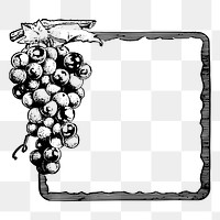 Grapes frame png sticker illustration, transparent background. Free public domain CC0 image.