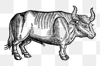 Ox png sticker illustration, transparent background. Free public domain CC0 image.