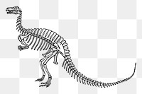 Dinosaur fossil png sticker illustration, transparent background. Free public domain CC0 image.