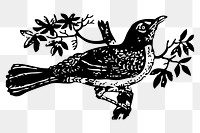 Bird png sticker illustration, transparent background. Free public domain CC0 image.