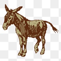 Donkey png sticker illustration, transparent background. Free public domain CC0 image.