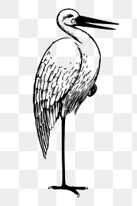 Stork png sticker illustration, transparent background. Free public domain CC0 image.