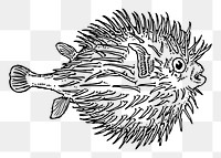 Blowfish png sticker illustration, transparent background. Free public domain CC0 image.