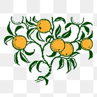 Orange png sticker illustration, transparent background. Free public domain CC0 image.