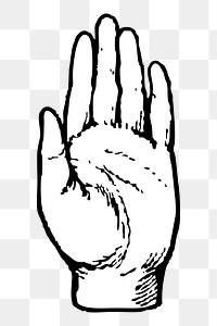 Palm hand png sticker illustration, transparent background. Free public domain CC0 image.