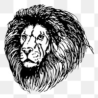 Lion png sticker illustration, transparent background. Free public domain CC0 image.