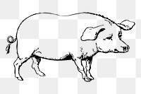 Pig png sticker illustration, transparent background. Free public domain CC0 image.