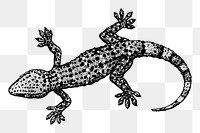 Gecko png sticker illustration, transparent background. Free public domain CC0 image.