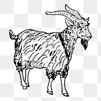 Goat png sticker illustration, transparent background. Free public domain CC0 image.