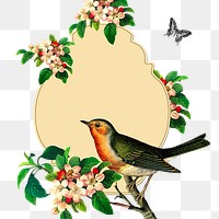 Bird frame png sticker, animal illustration, transparent background. Free public domain CC0 image