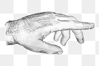 Hand png sticker, body part illustration, transparent background. Free public domain CC0 image