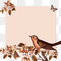 Bird frame png sticker, animal illustration, transparent background. Free public domain CC0 image