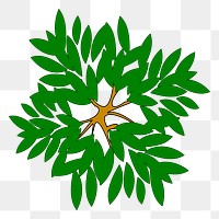 Tree png top view sticker, botanical illustration, transparent background. Free public domain CC0 image