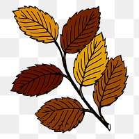 Autumn leaf png branch sticker, seasonal illustration, transparent background. Free public domain CC0 image