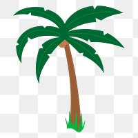 Palm tree png sticker, tropical illustration, transparent background. Free public domain CC0 image