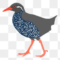 Bird png sticker, animal illustration, transparent background. Free public domain CC0 image