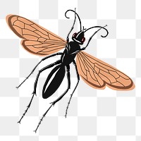 Black wasp png sticker, animal illustration, transparent background. Free public domain CC0 image