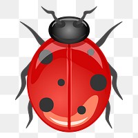 Ladybug png sticker, transparent background. Free public domain CC0 image.