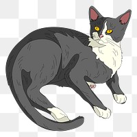 Cat png sticker, transparent background. Free public domain CC0 image.