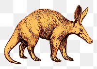 Aardvark png sticker, transparent background. Free public domain CC0 image.