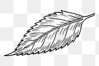 Leaf png sticker, transparent background. Free public domain CC0 image.