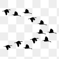 Png bird flock silhouette sticker, transparent background. Free public domain CC0 image.