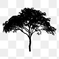 Tree silhouette png sticker, transparent background. Free public domain CC0 image.