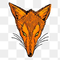 Fox face png sticker, transparent background. Free public domain CC0 image.