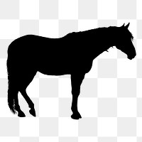 Horse silhouette png sticker, transparent background. Free public domain CC0 image.