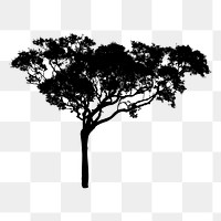 Tree silhouette png sticker, transparent background. Free public domain CC0 image.