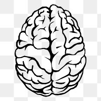 Brain png sticker illustration, transparent background. Free public domain CC0 image.