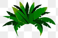 Banana leaves png sticker, botanical illustration, transparent background. Free public domain CC0 image