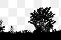Tree silhouette png border, botanical illustration, transparent background. Free public domain CC0 image