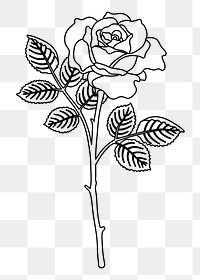 Rose png sticker, black and white illustration, transparent background. Free public domain CC0 image.