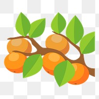 Orange branch png sticker fruit illustration, transparent background. Free public domain CC0 image.