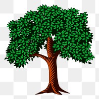 Tree png sticker, transparent background. Free public domain CC0 image.