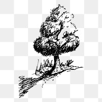 Tree png sticker, black and white illustration, transparent background. Free public domain CC0 image.