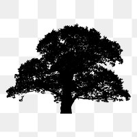 Tree silhouette png sticker, transparent background. Free public domain CC0 image.