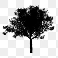 Tree silhouette png sticker, transparent background. Free public domain CC0 image.