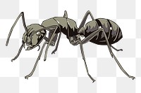 Ant png sticker, transparent background. Free public domain CC0 image.