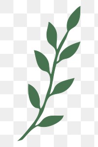 Green leaf png sticker, transparent background. Free public domain CC0 image.