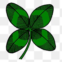 Clover leaf png sticker, transparent background. Free public domain CC0 image.