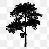 Tree silhouette png sticker, transparent background. Free public domain CC0 image.