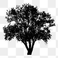 Tree silhouette png sticker, transparent background. Free public domain CC0 image.